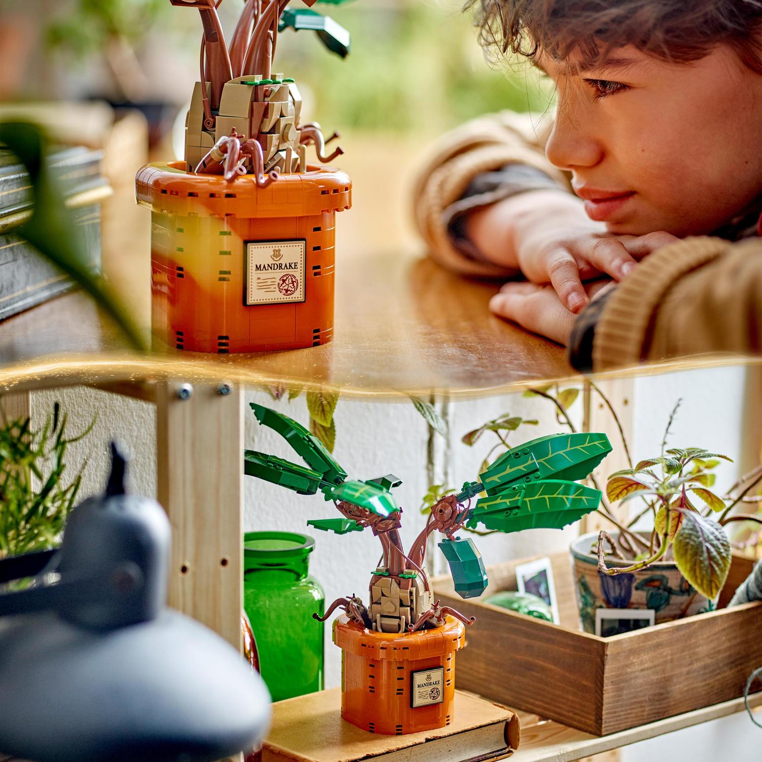 Voir la diapositive 6 : LEGO Harry Potter 76433 -  Mandragore - Plante et pot - Créature magique