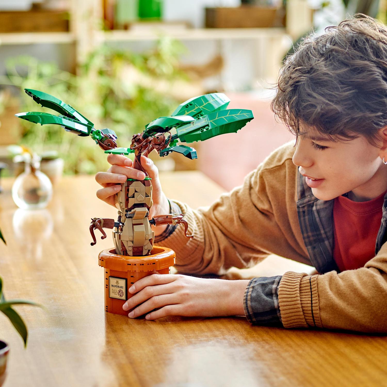 Voir la diapositive 7 : LEGO Harry Potter 76433 -  Mandragore - Plante et pot - Créature magique