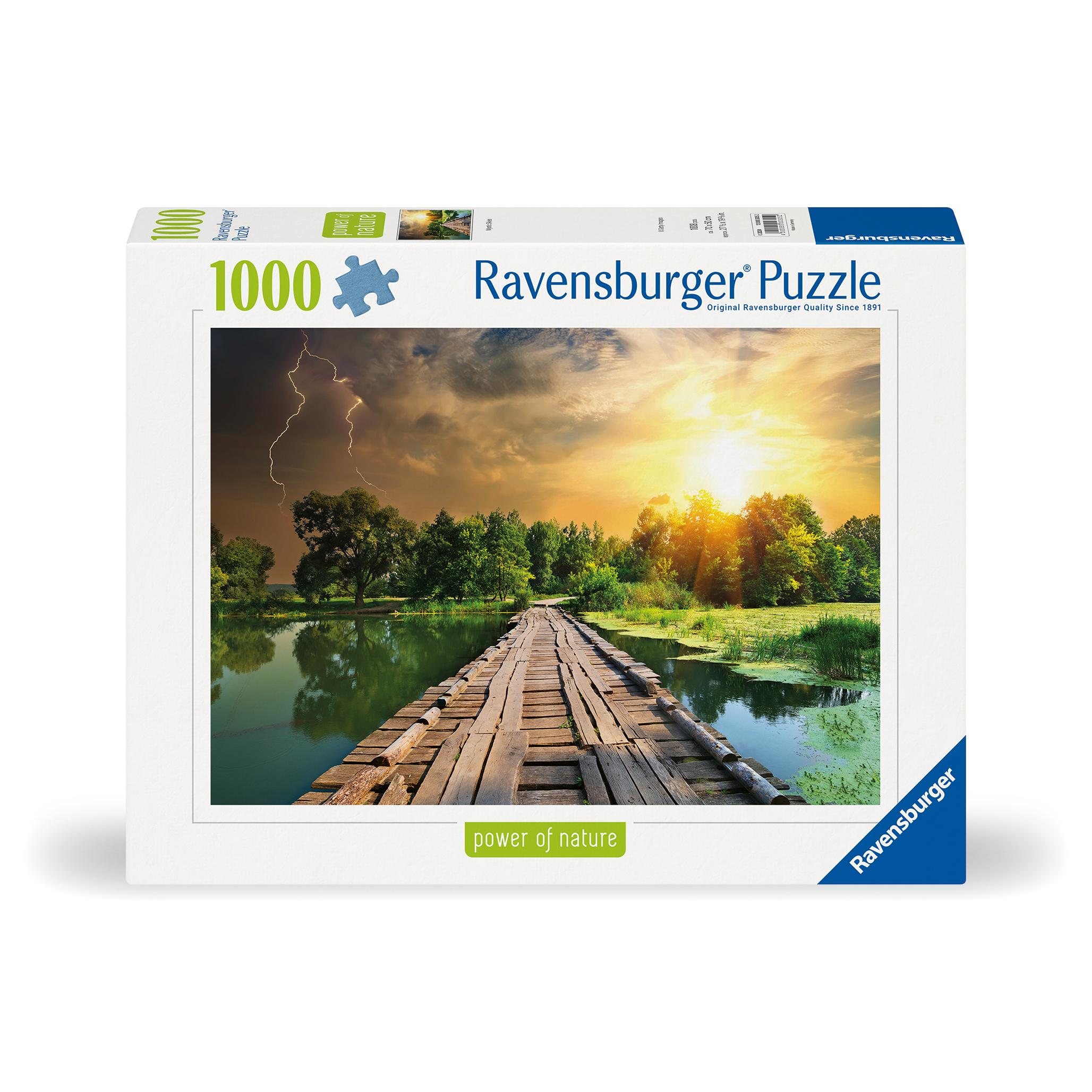 Voir la diapositive 5 : RAVENSBURGER Puzzle 1000 Pièces Collection