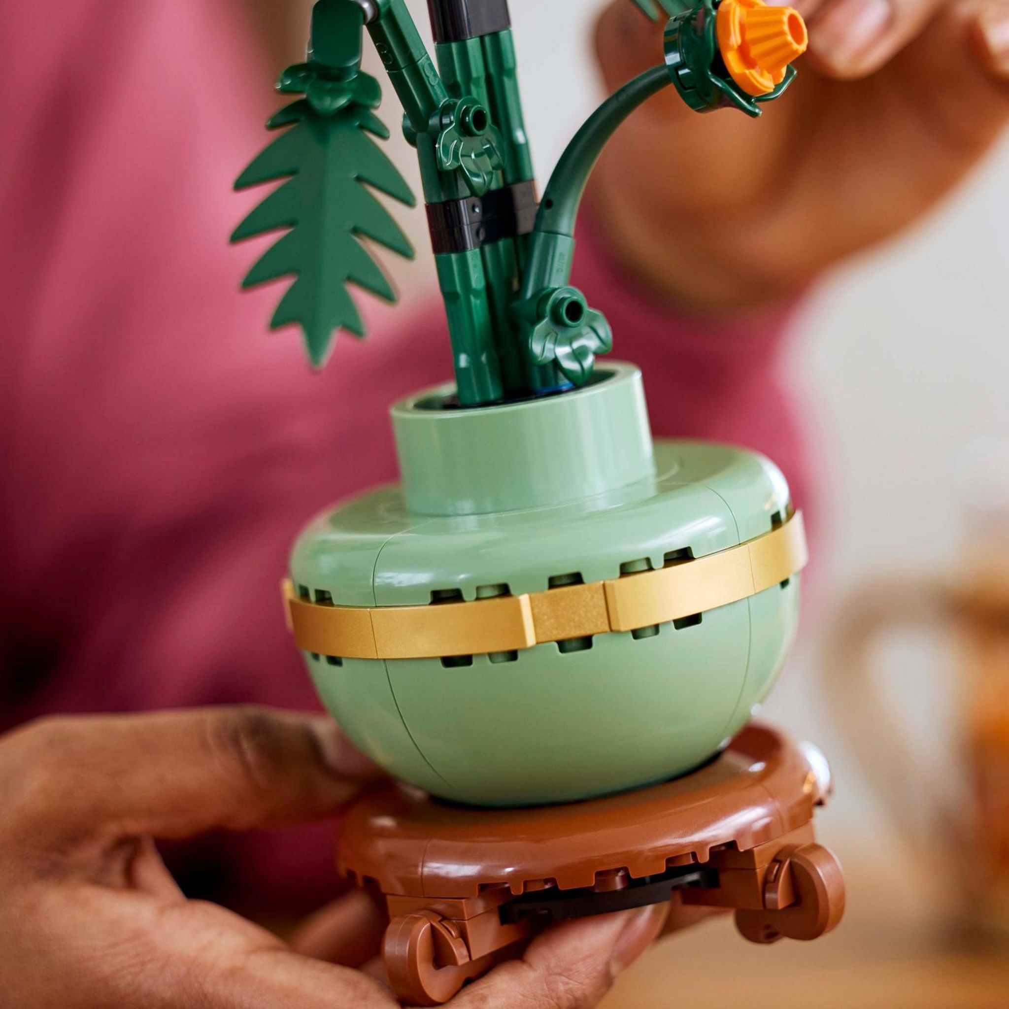 Voir la diapositive 5 : LEGO Icons 10368 - Chrysanthème Collection Botanique