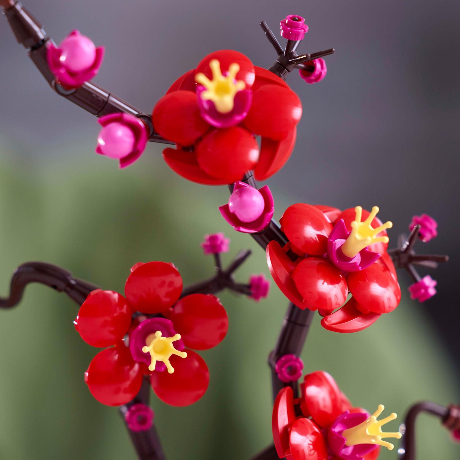 Voir la diapositive 4 : LEGO LEGO Botanicals 10369 Les Fleurs de Prunier - Décoration Intérieure - Set pour Adulte