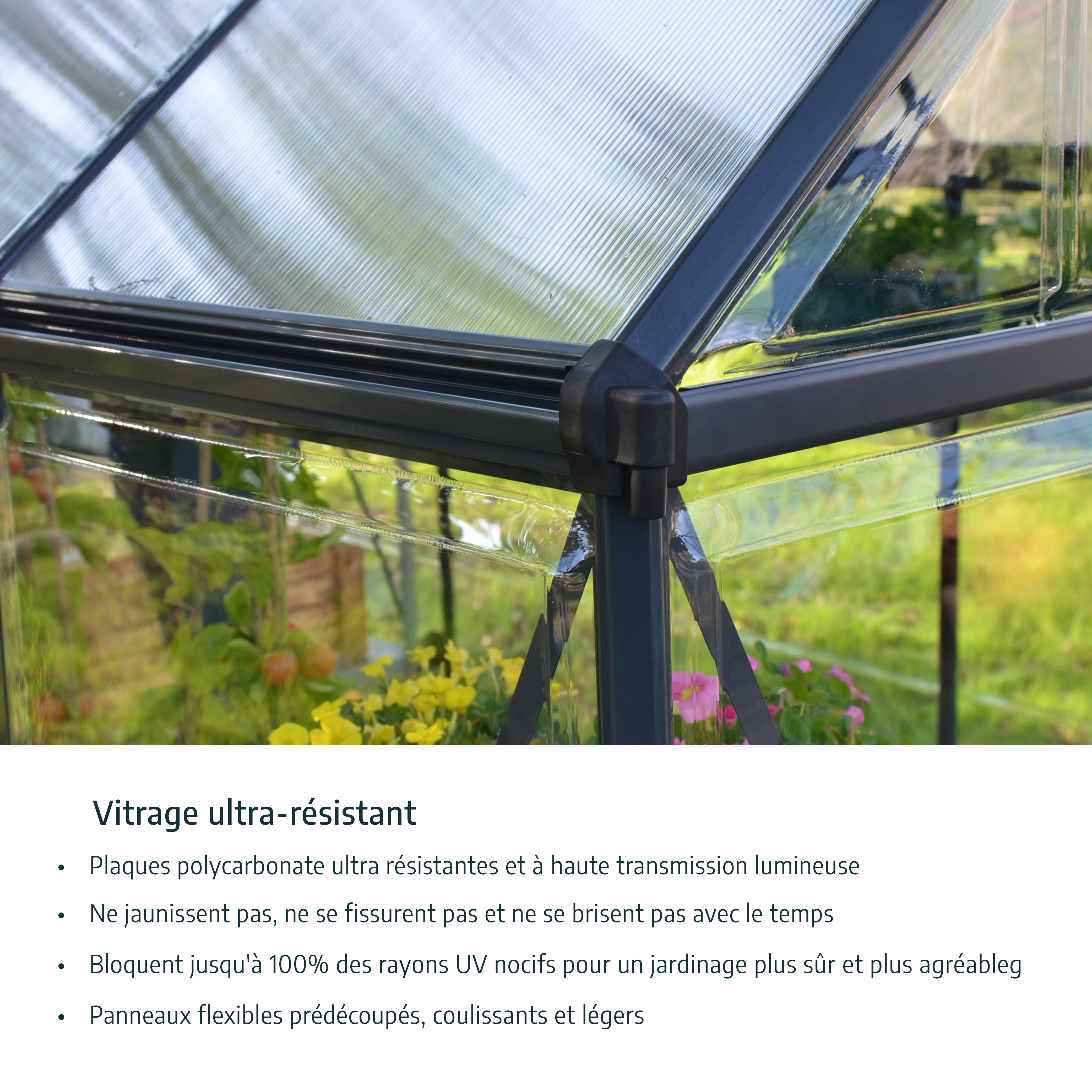 Voir la diapositive 9 : PALRAM Serre de jardin polycarbonate gris anthracite 4,6 m² - HARMONY