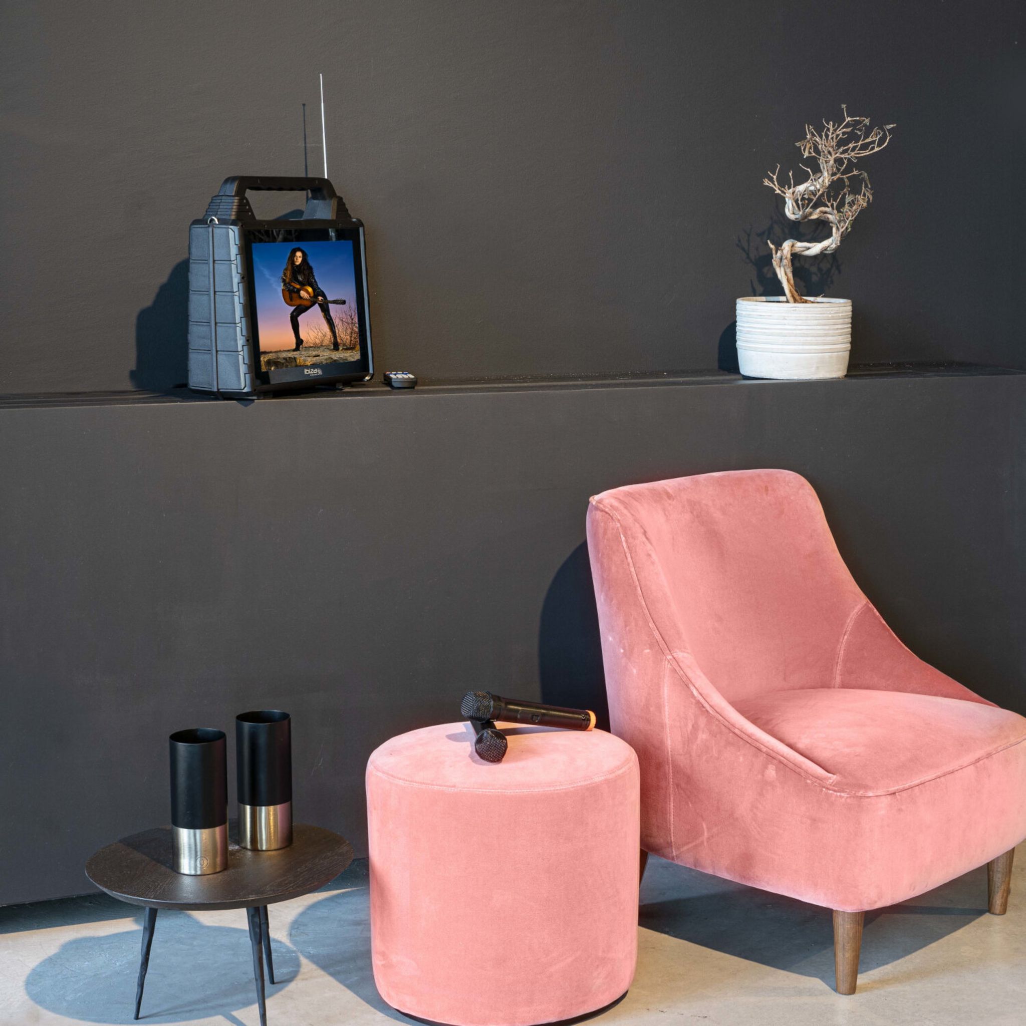 Voir la diapositive 4 : IBIZA Enceinte portable KaraVision avec écran et 2 micro