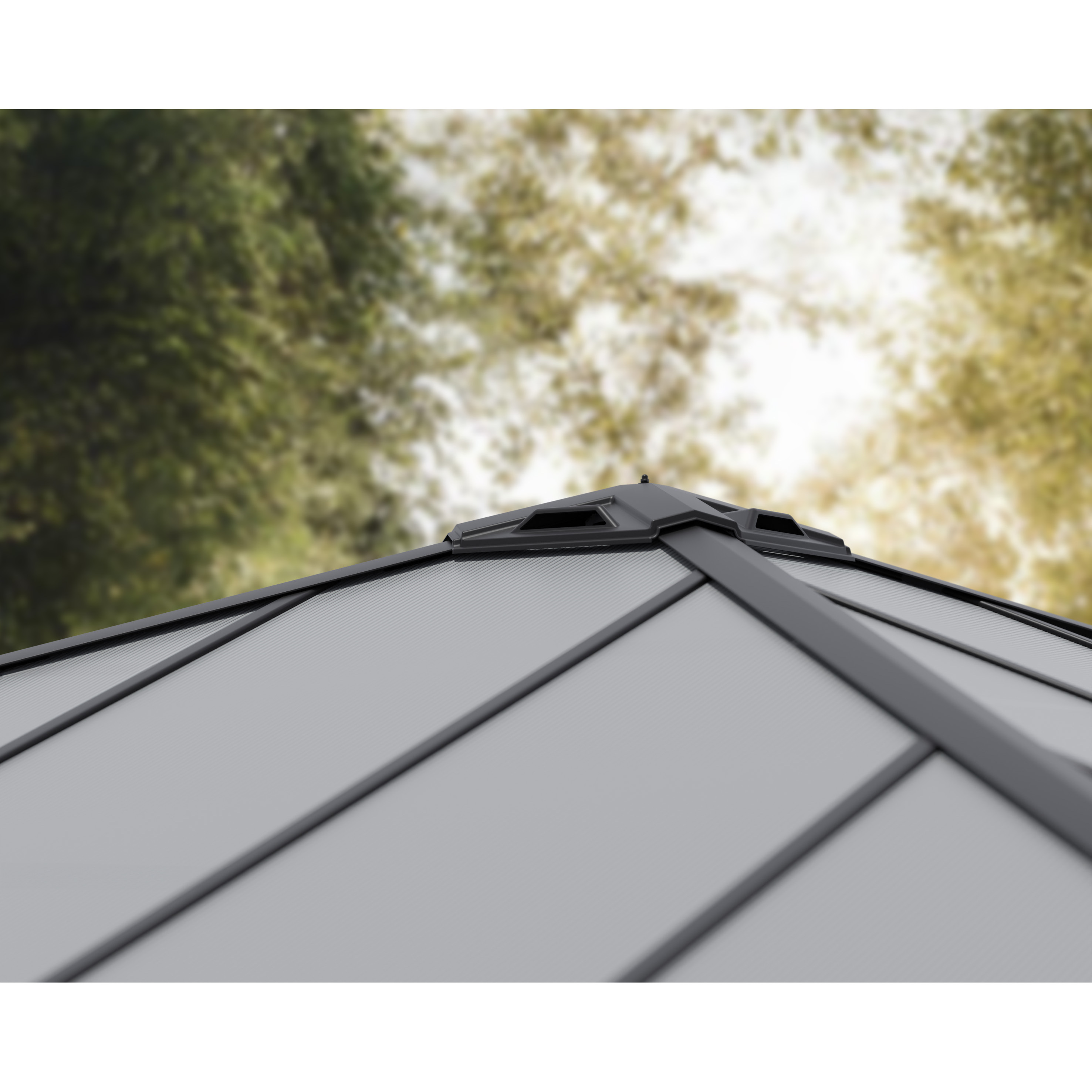 Voir la diapositive 3 : PALRAM Carport alu 2 voitures Anthracite 17,8 m² - COLORADO