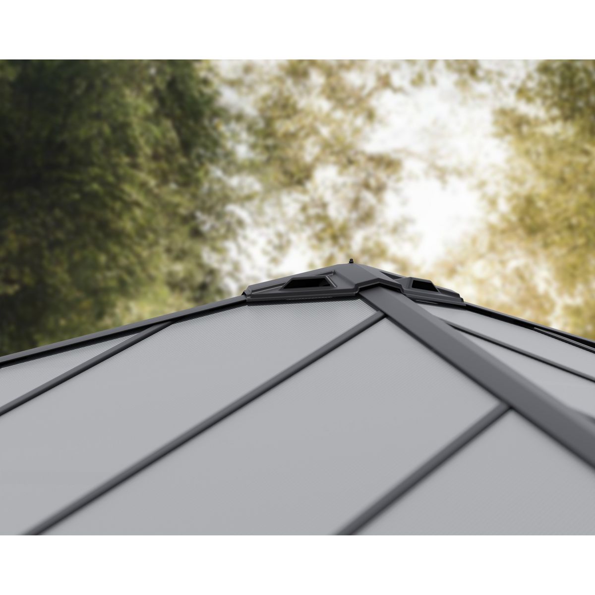 PALRAM Carport alu 2 voitures Anthracite 17,8 m² - COLORADO