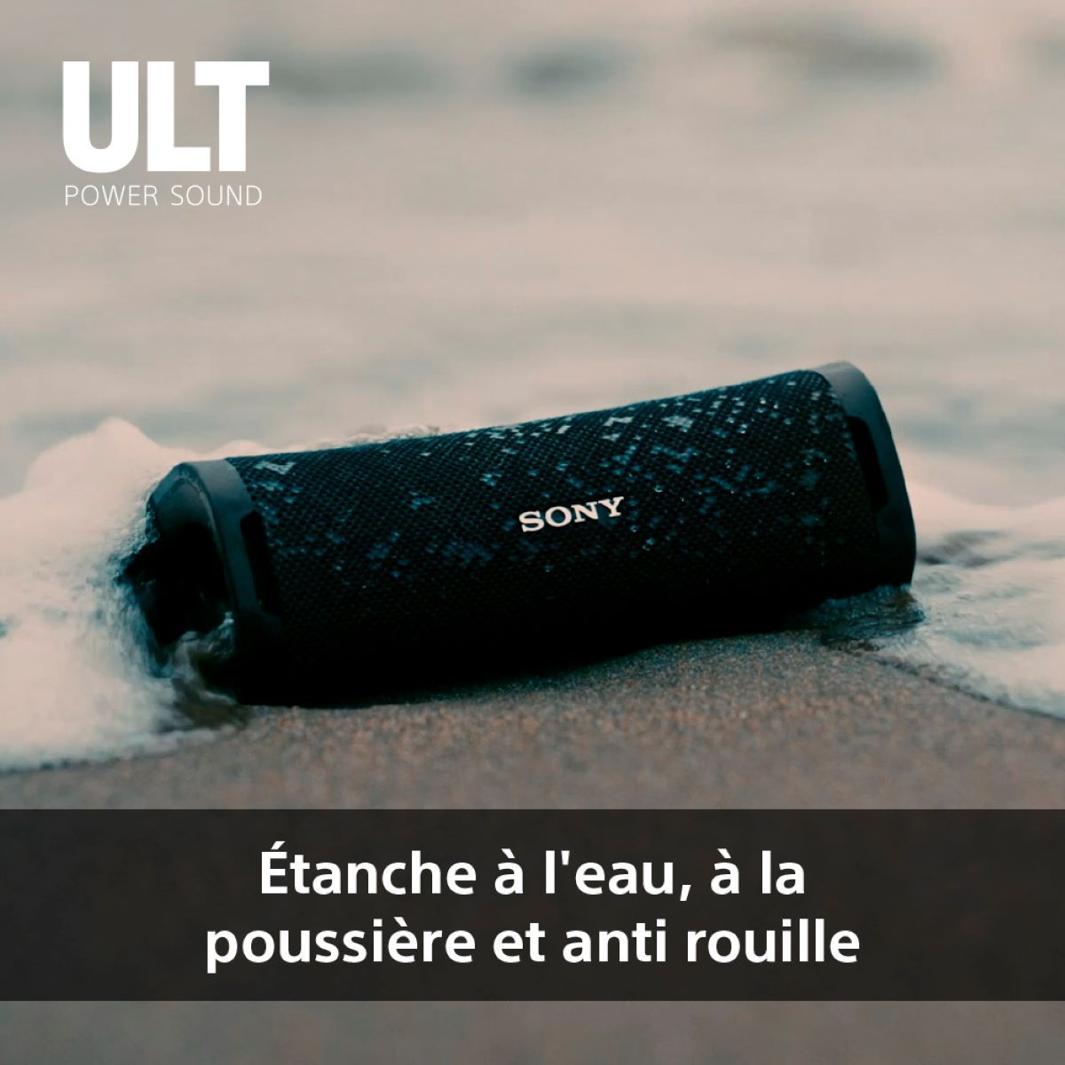SONY Enceinte portable sans fil Bluetooth ULT Field 1 - Gris forêt