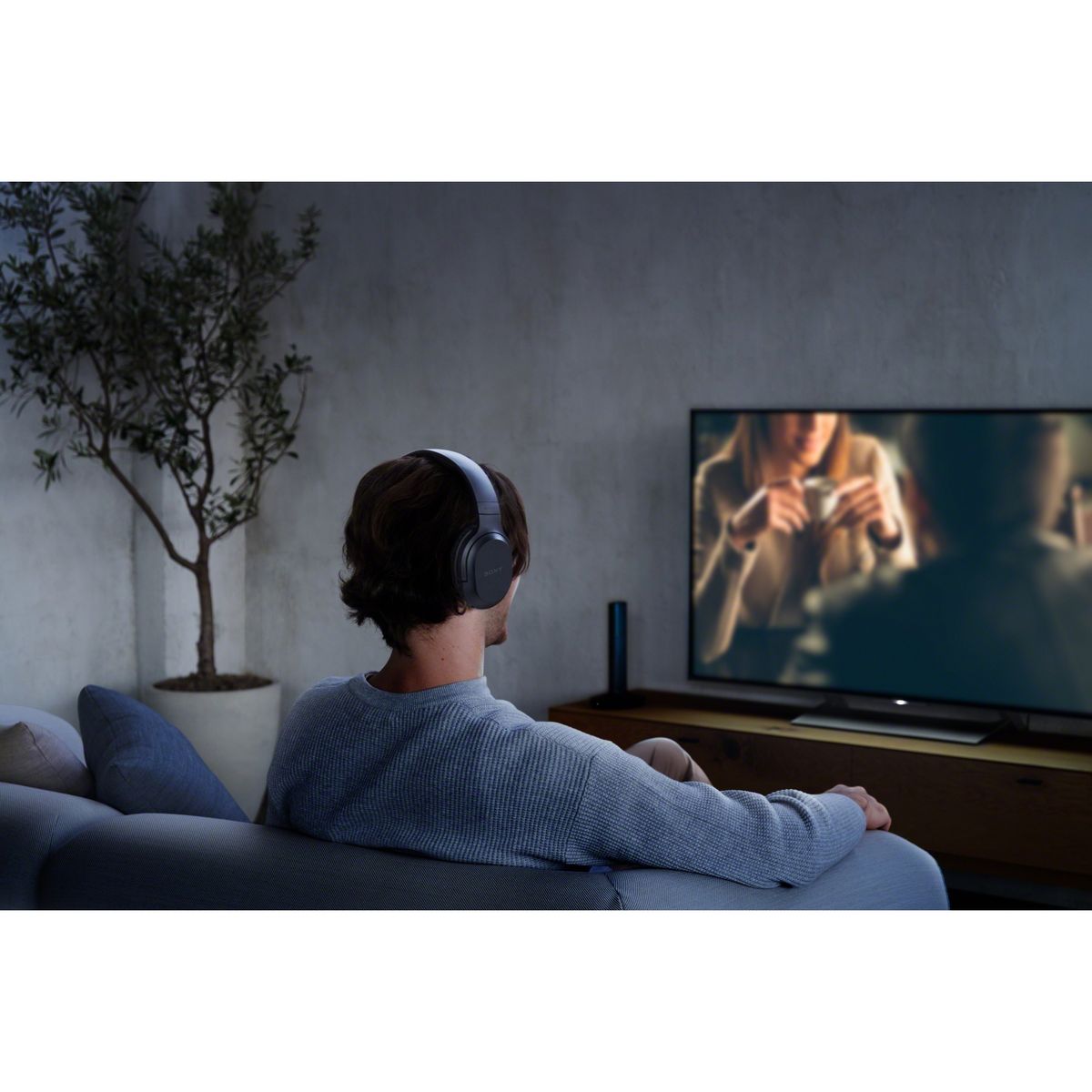 SONY Casque audio MDR RF895 - Noir