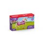 Voir la diapositive 5 : SCHLEICH Figurine Horse Club Cheval et accessoires