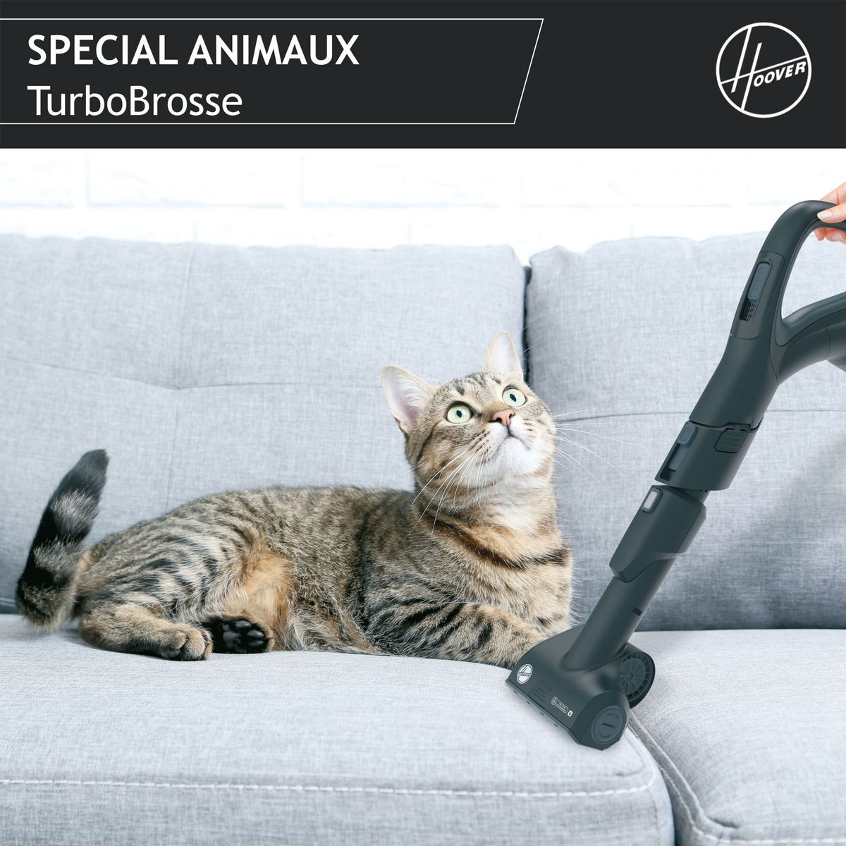 HOOVER Aspirateur traîneau sans sac HP720PET - Noir