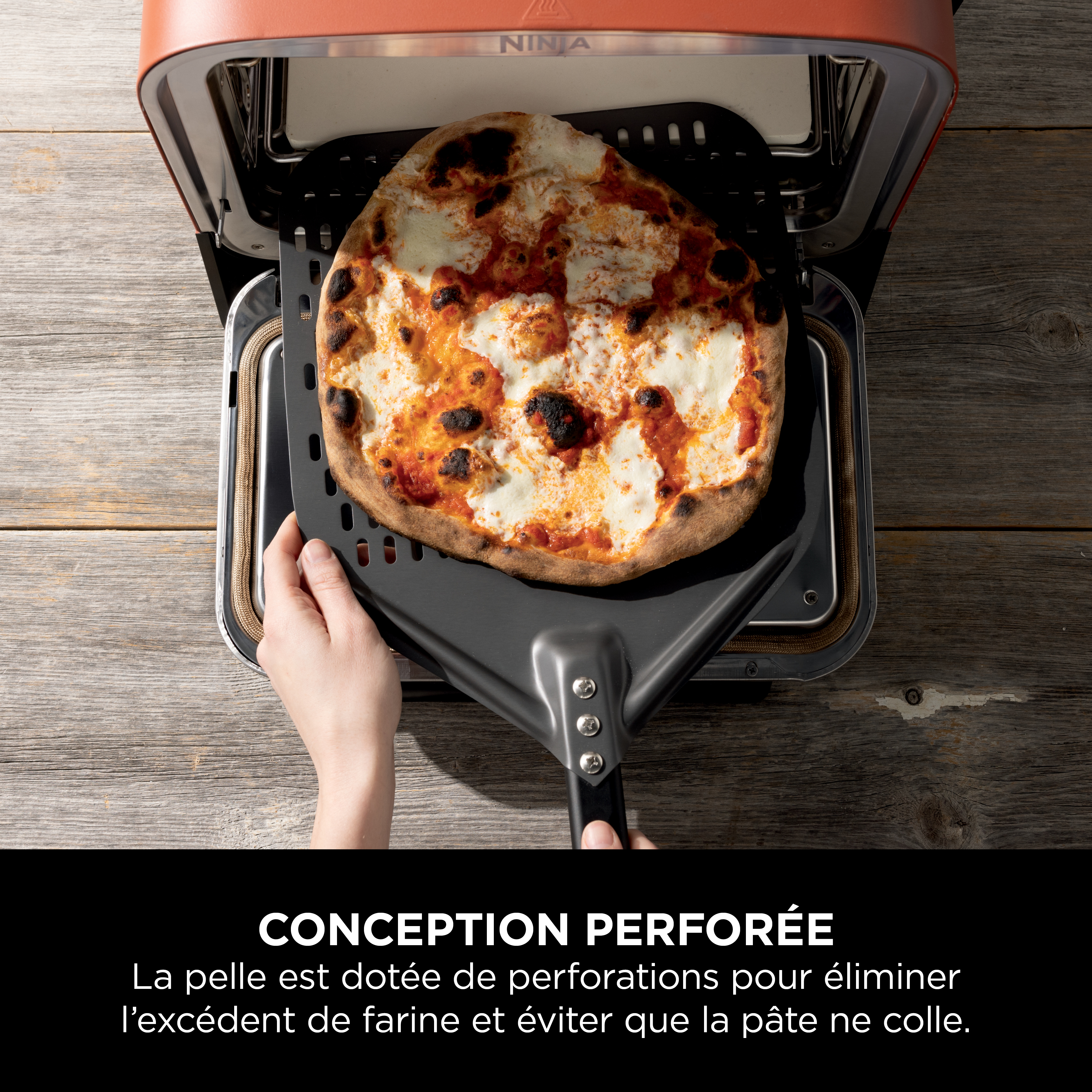 Voir la diapositive 3 : NINJA Pelle à pizza XSKPZPLEU - Gris