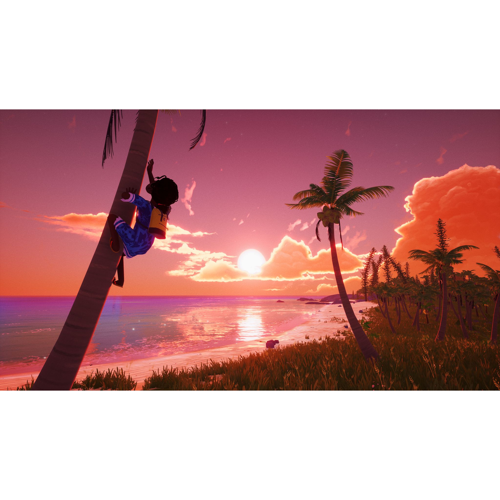 Voir la diapositive 3 : Tchia Oleti Edition Nintendo Switch