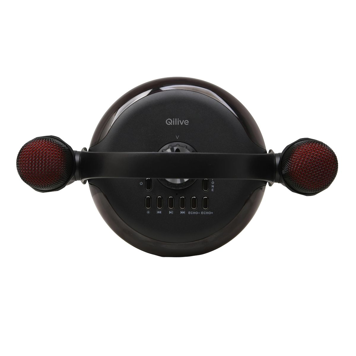 QILIVE Enceinte portable Q1894 Karaoké et Micro - Noir