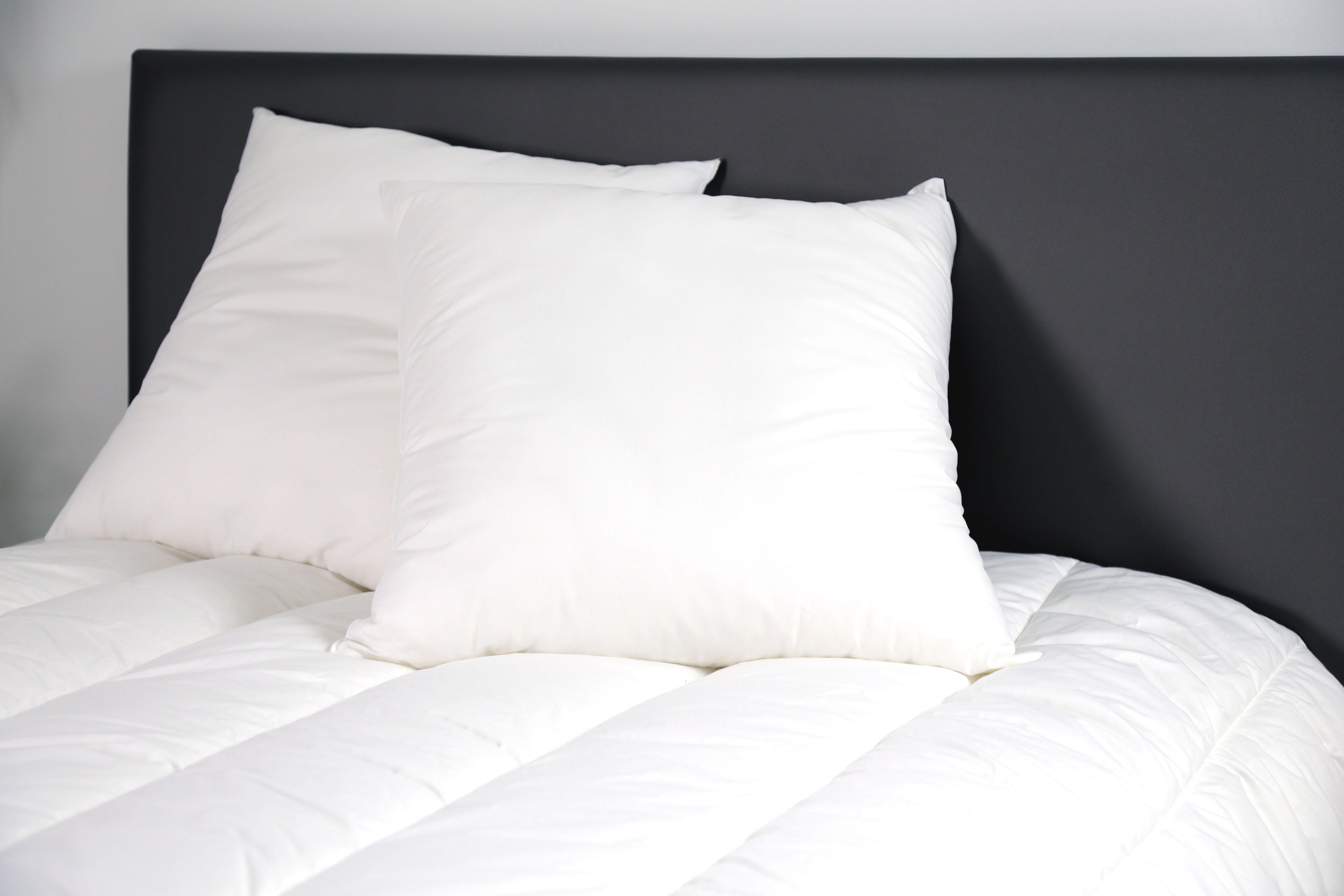 Voir la diapositive 2 : DODO Lot de 2 oreillers confort moelleux BIEN ETRE 450g/m²