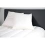 Voir la diapositive 2 : DODO Lot de 2 oreillers confort moelleux BIEN ETRE 450g/m²