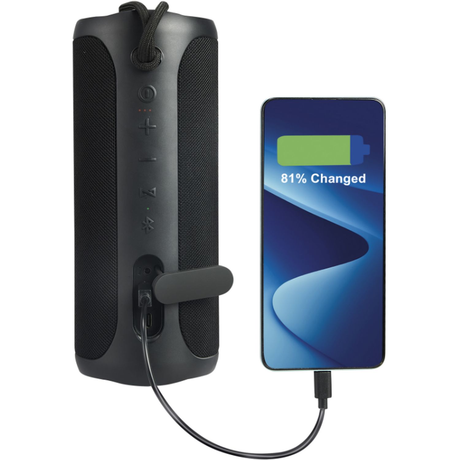 Voir la diapositive 10 : QILIVE Enceinte Q1653 Bluetooth IPX7 - Noir