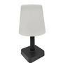 Voir la diapositive 2 : GARDENSTAR Lampe solaire H23.2cm LED blanc chaud - Noir