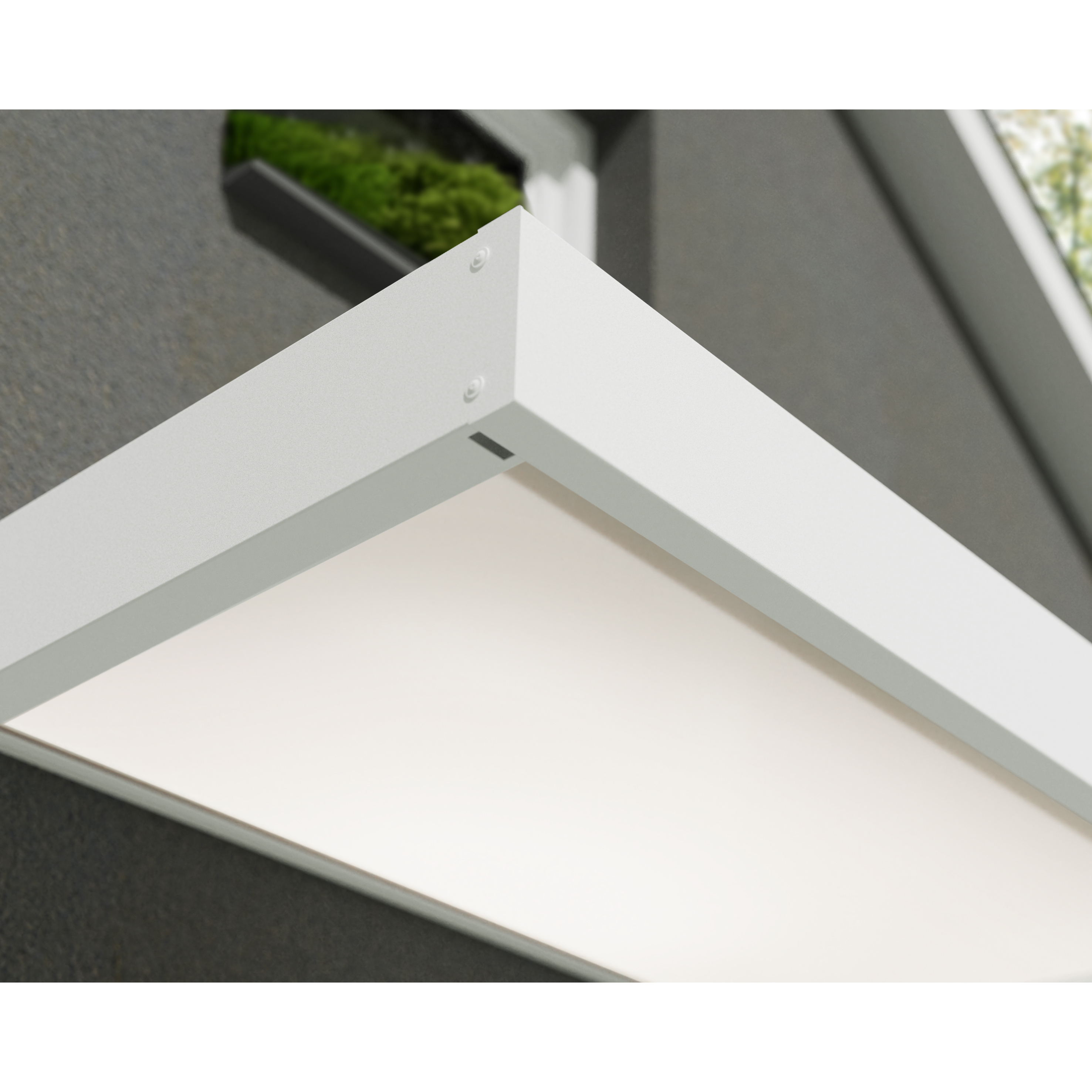 Voir la diapositive 6 : PALRAM Marquise 95 x 160 cm Blanc - SOPHIA 1600