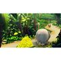Voir la diapositive 5 : NINTENDO Donkey Kong Country Returns HD Nintendo Switch