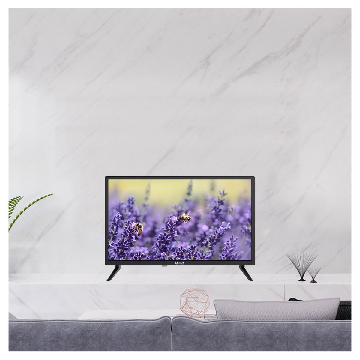 QILIVE TV HD LED Smart TV Q24HS241B