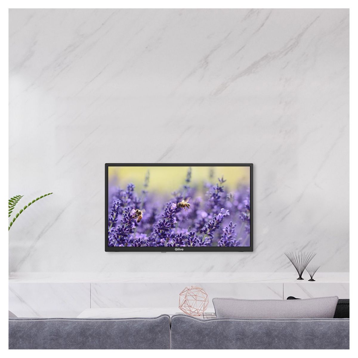 QILIVE TV HD LED Smart TV Q24HS241B