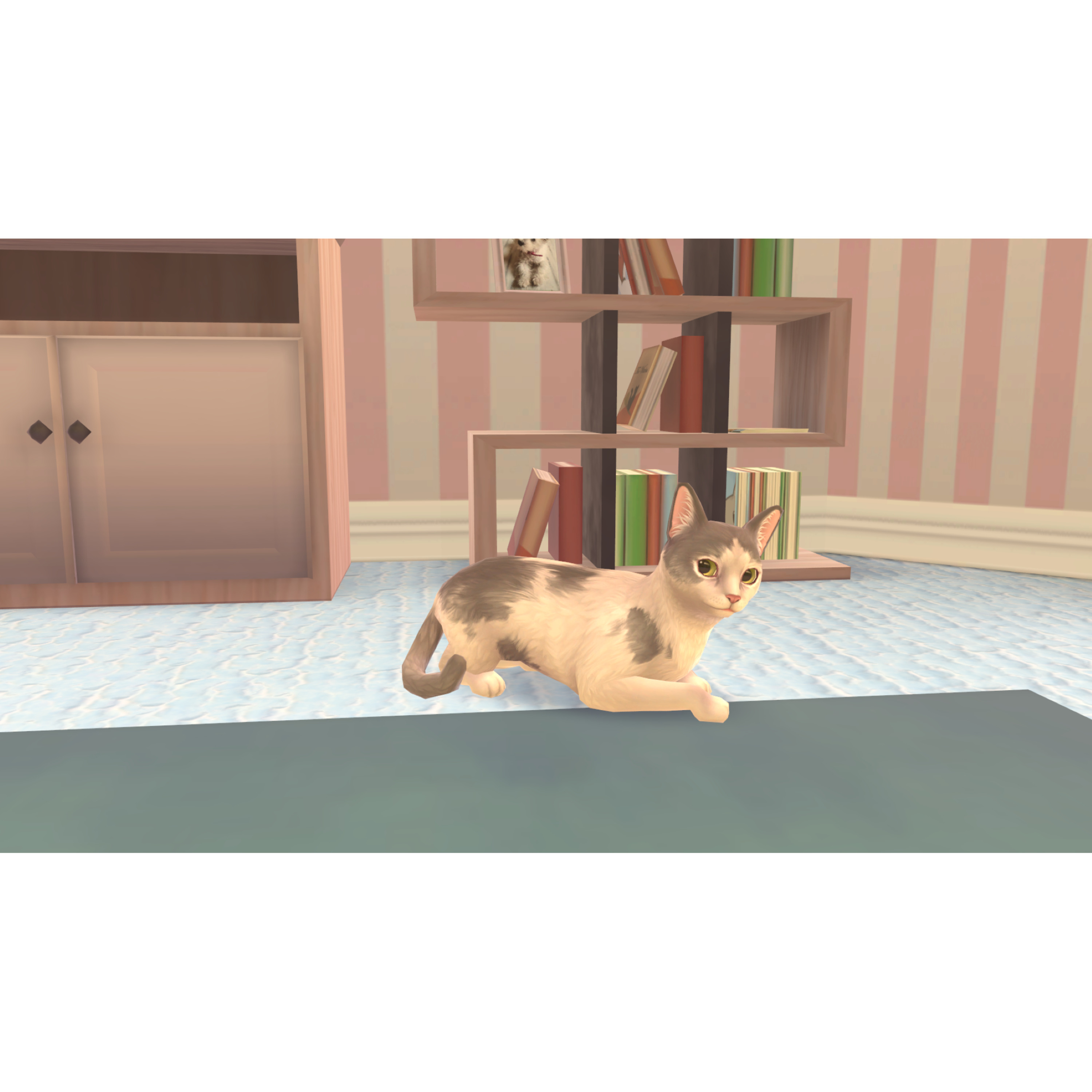 Voir la diapositive 4 : Cat Rescue Story Nintendo Switch
