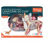 MGM Explora zoologie chat rouge