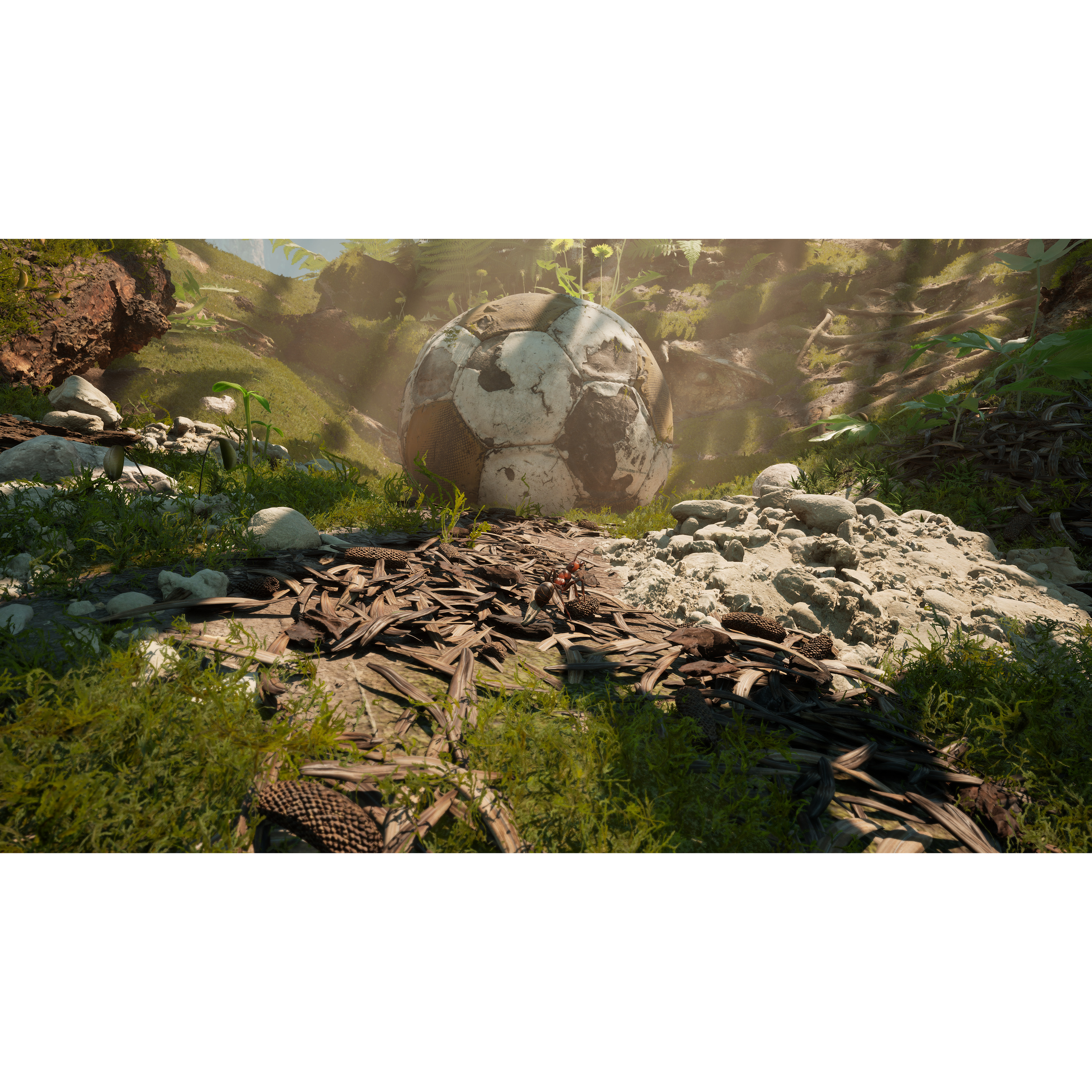 Voir la diapositive 4 : Les Fourmis Edition Limitée Xbox Series X
