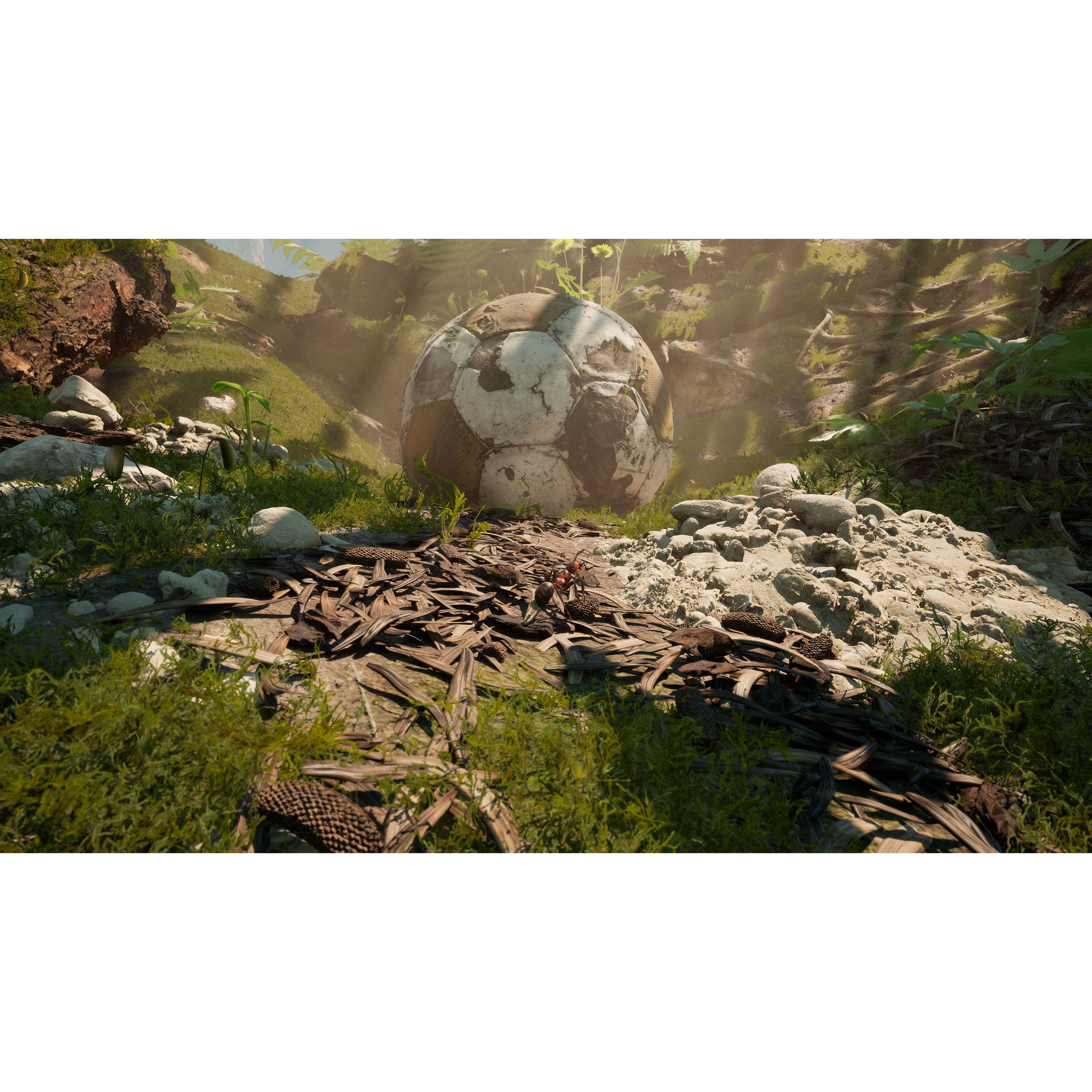 Voir la diapositive 4 : Les Fourmis Edition Limitée Xbox Series X