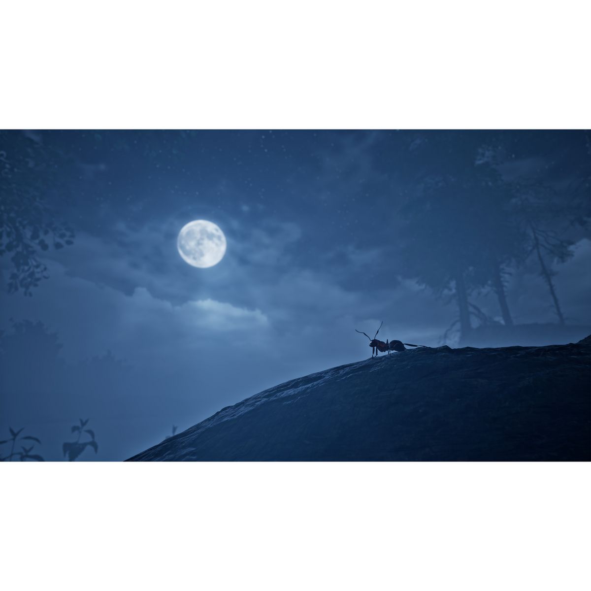 Les Fourmis Edition Limitée Xbox Series X