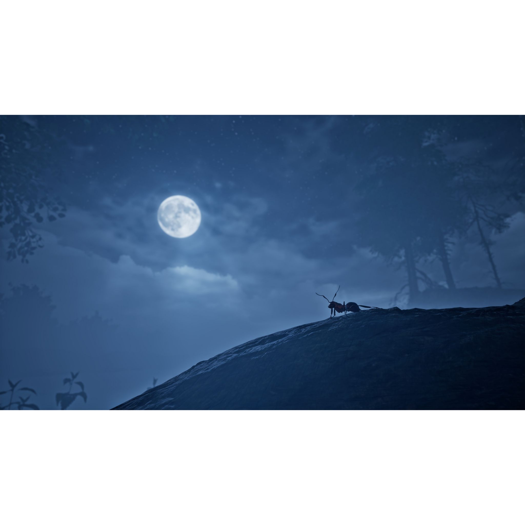 Voir la diapositive 5 : Les Fourmis Edition Limitée Xbox Series X