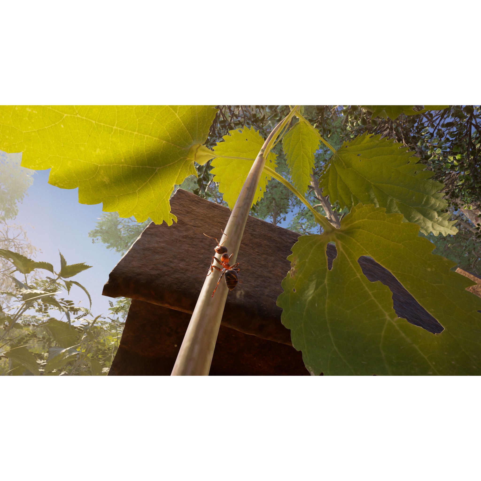 Voir la diapositive 7 : Les Fourmis Edition Limitée Xbox Series X