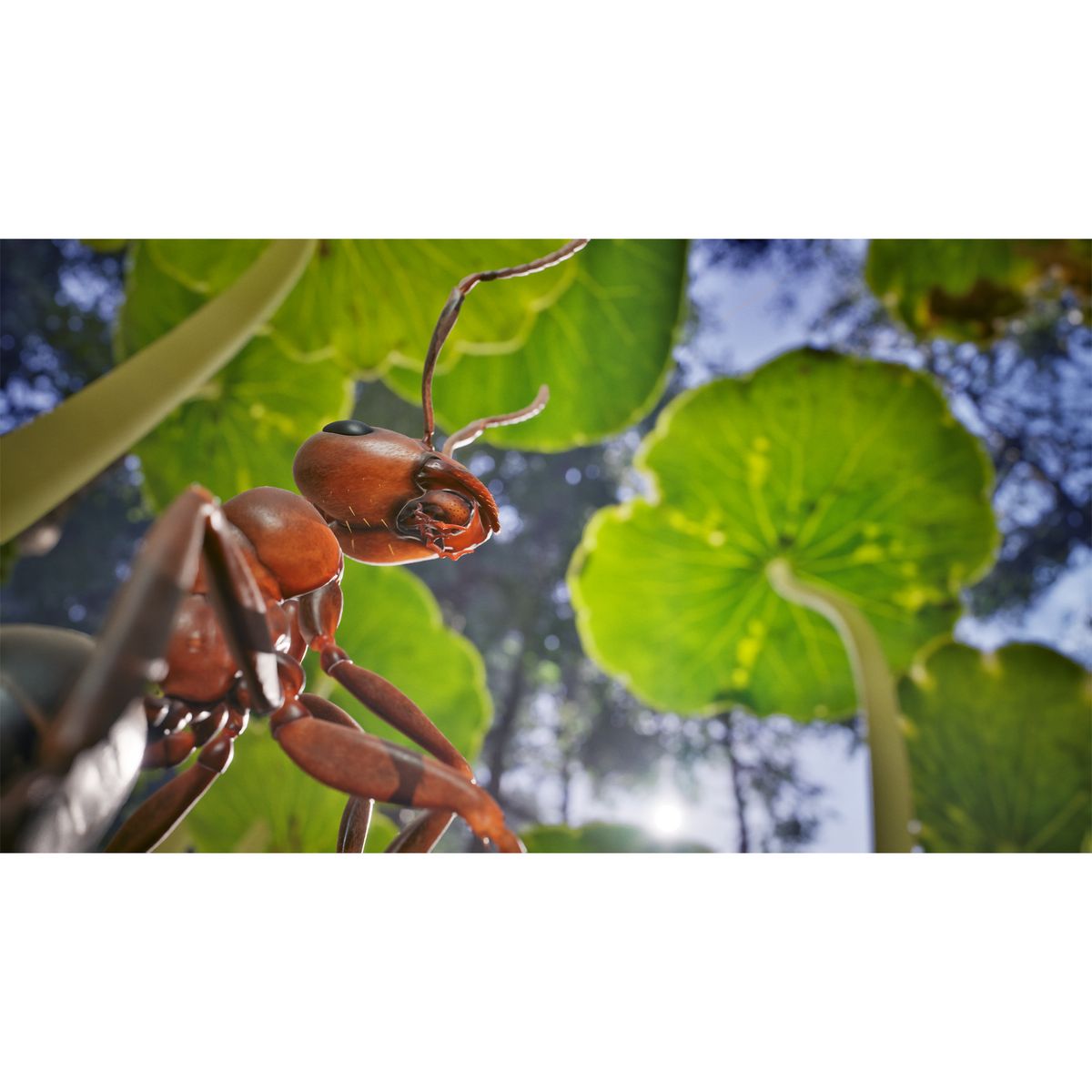 Les Fourmis Edition Limitée PS5