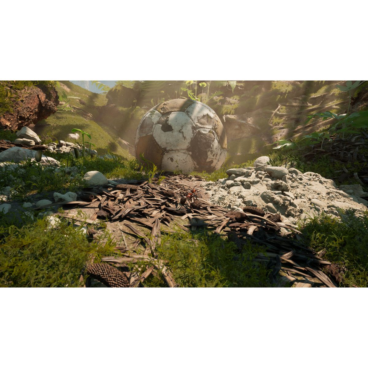 Les Fourmis Edition Limitée PS5