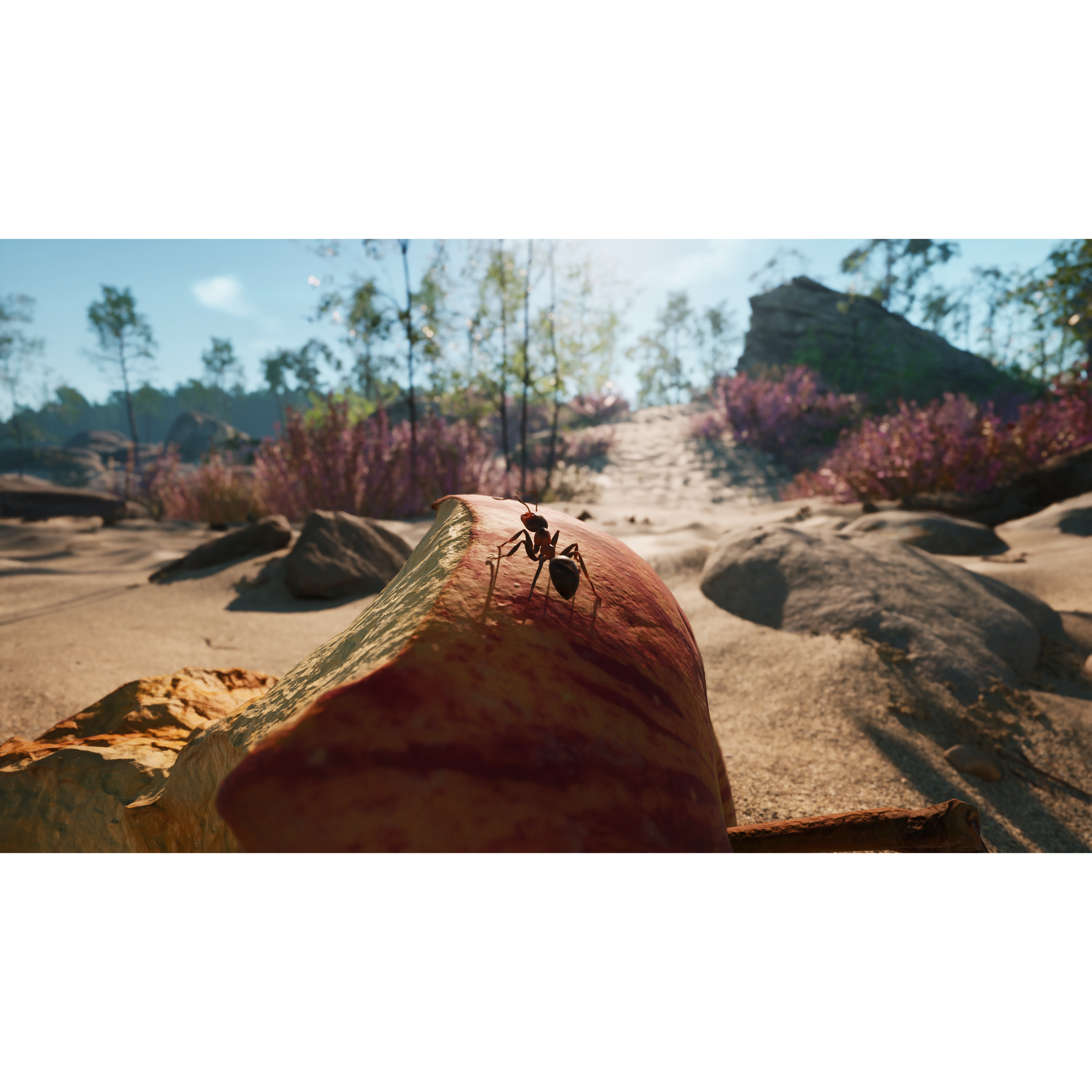 Voir la diapositive 6 : Les Fourmis Edition Limitée PS5