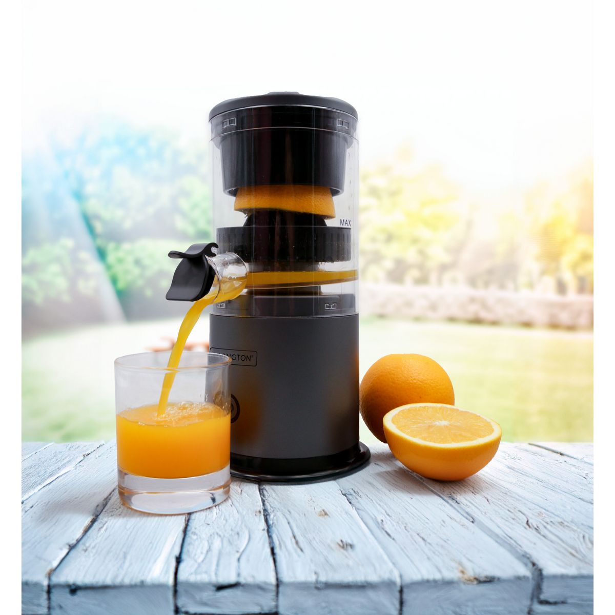 BEST OF TV Presse agrumes JUICER01 - Noir