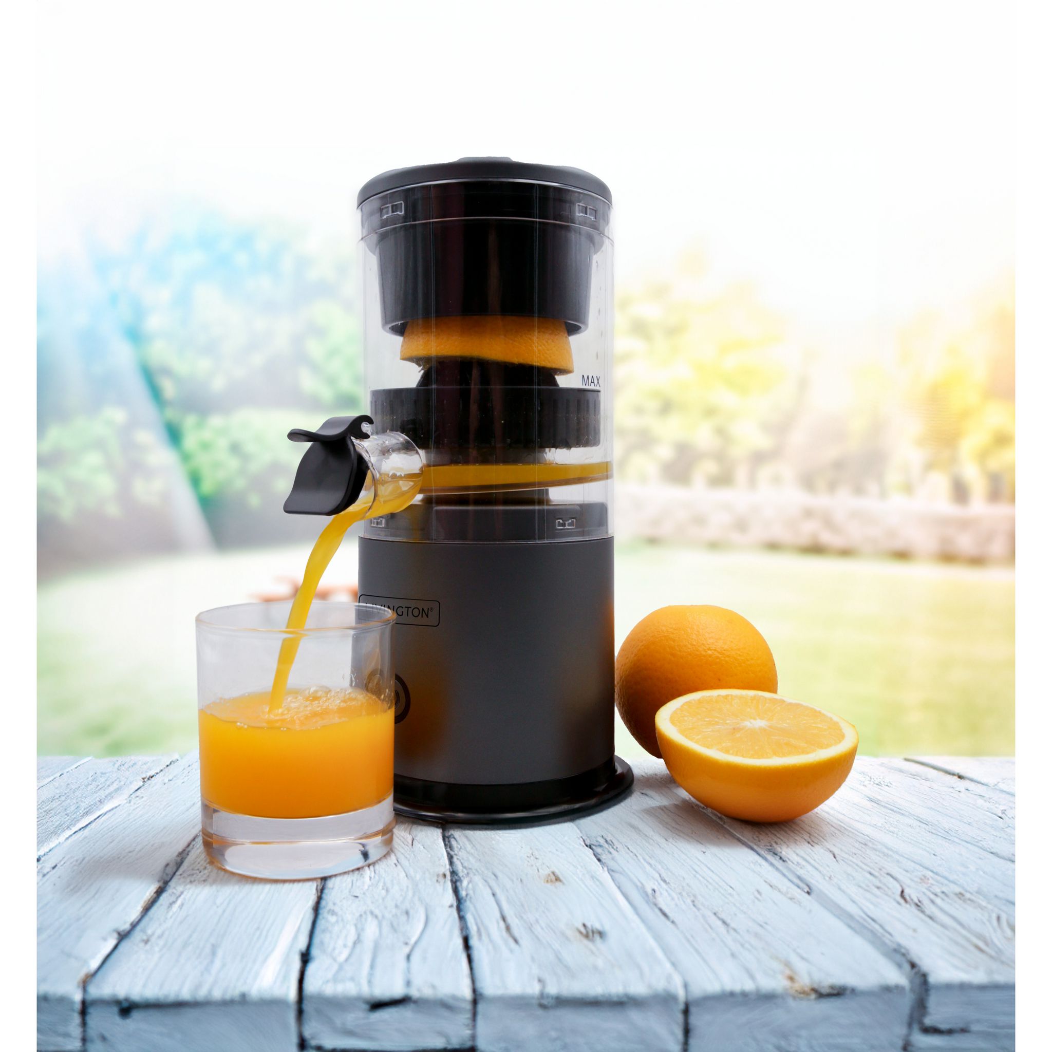 Voir la diapositive 7 : BEST OF TV Presse agrumes JUICER01 - Noir