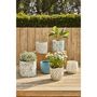 Voir la diapositive 2 : GARDENSTAR Pot ciment D13xh12cm