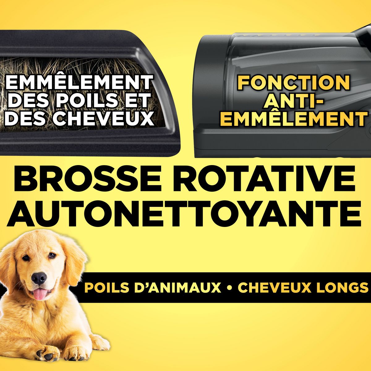 SHARK Aspirateur balai BU3521EU - Blanc