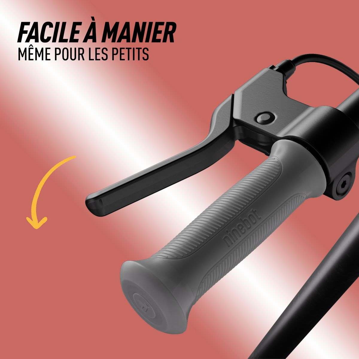 NINEBOT Trottinette électrique Segway C2 Lite - Bleu