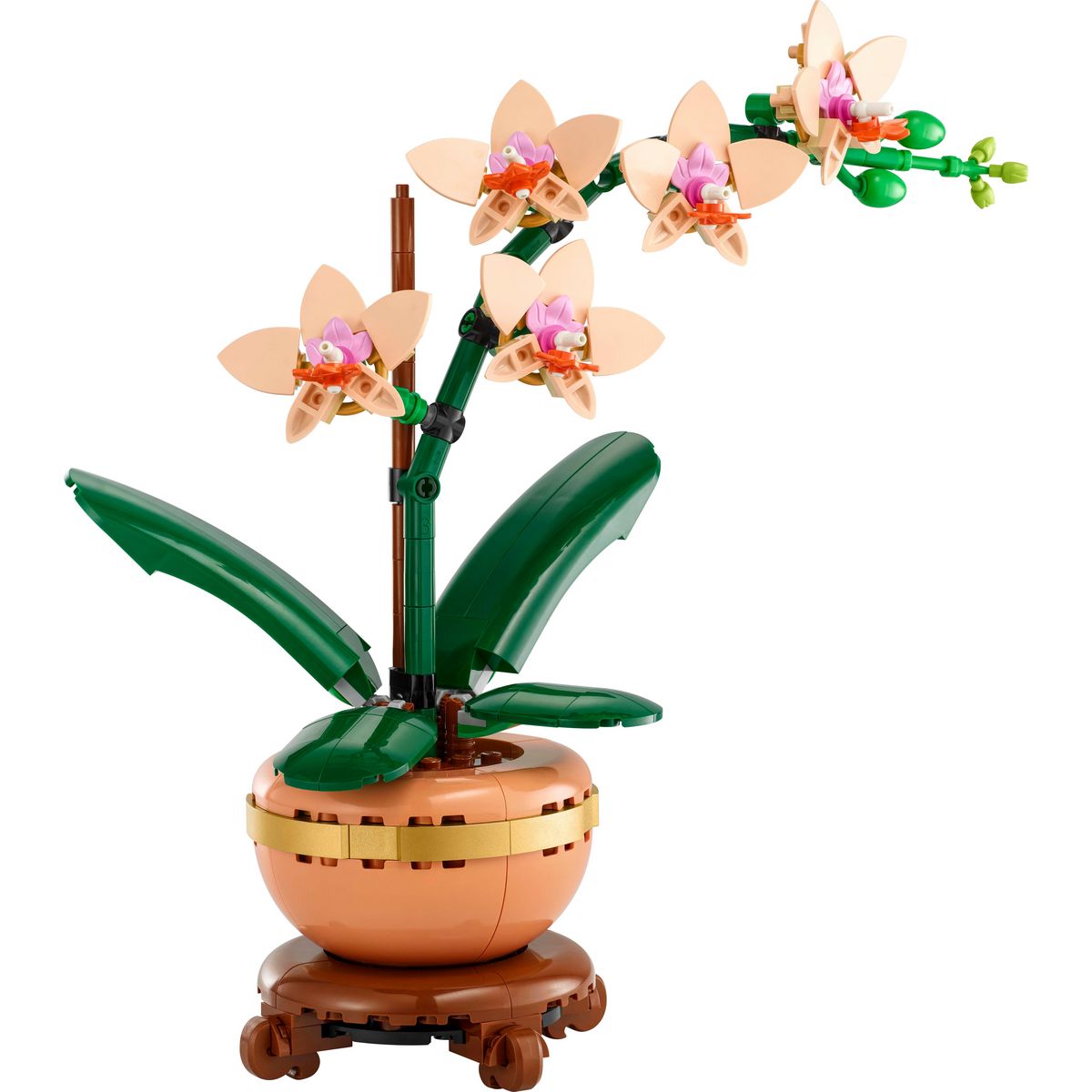 LEGO Botanicals 10343 - Mini Orchidée