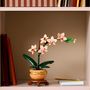 Voir la diapositive 4 : LEGO Botanicals 10343 - Mini Orchidée