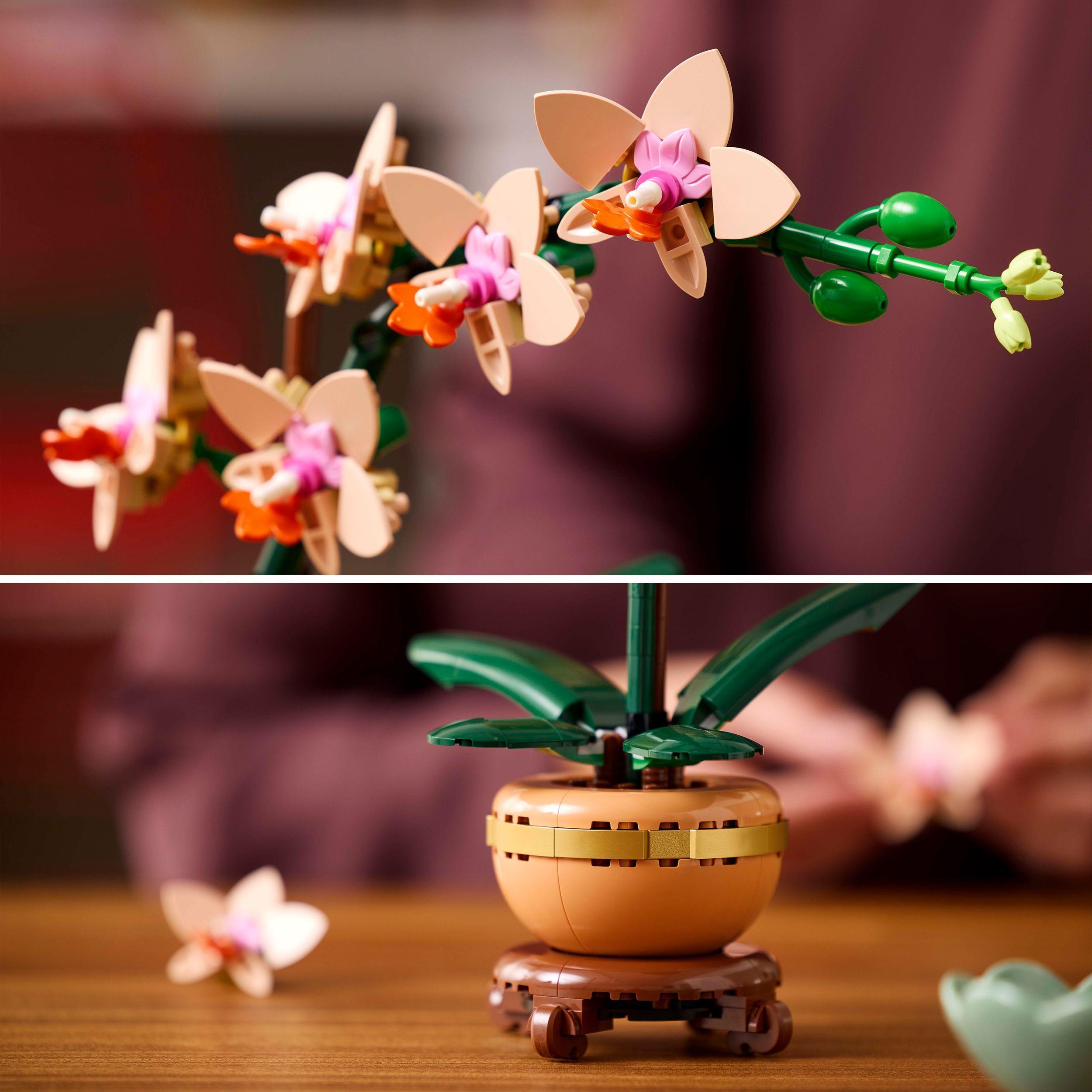 Voir la diapositive 5 : LEGO LEGO Botanicals 10343 L’Orchidée Miniature - Plante Artificielle - Idée Cadeau pour Femme