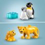 Voir la diapositive 4 : LEGO Duplo 10442 - Familles d'Animaux Sauvages : Pingouins et Lions