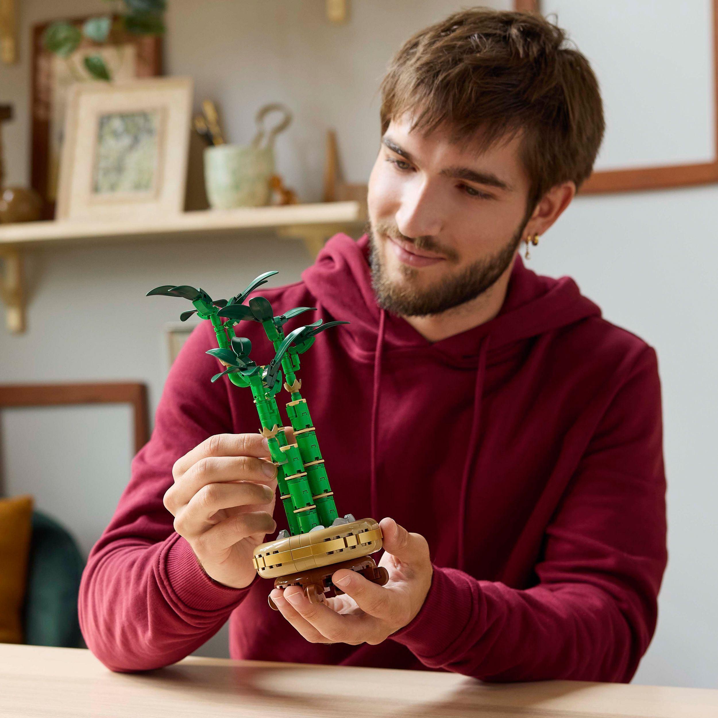 Voir la diapositive 7 : LEGO LEGO Botanicals 10344 Le bambou de la chance - Plante artificielle et décoration intérieure