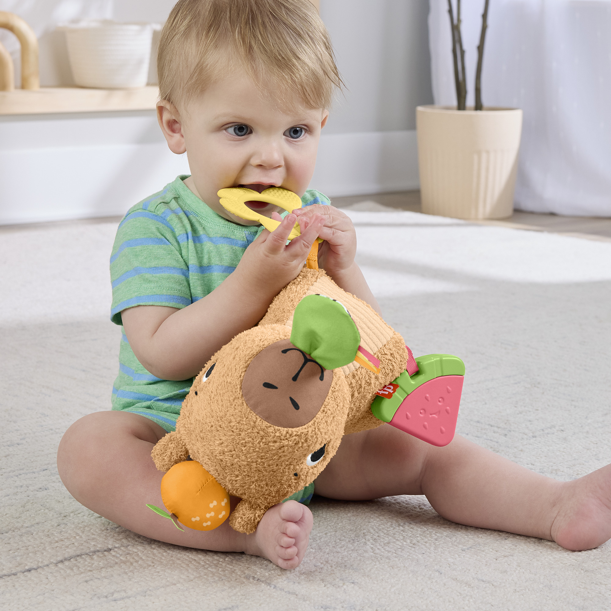Voir la diapositive 16 : MATTEL Peluche Mon Capybara Calins Fisher Price