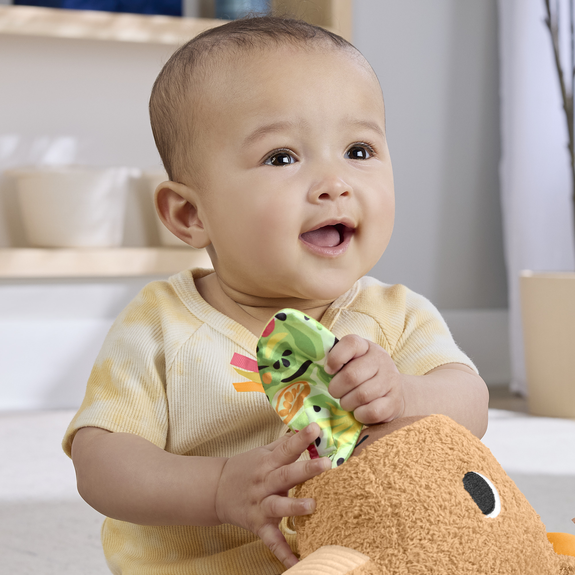 Voir la diapositive 17 : MATTEL Peluche Mon Capybara Calins Fisher Price