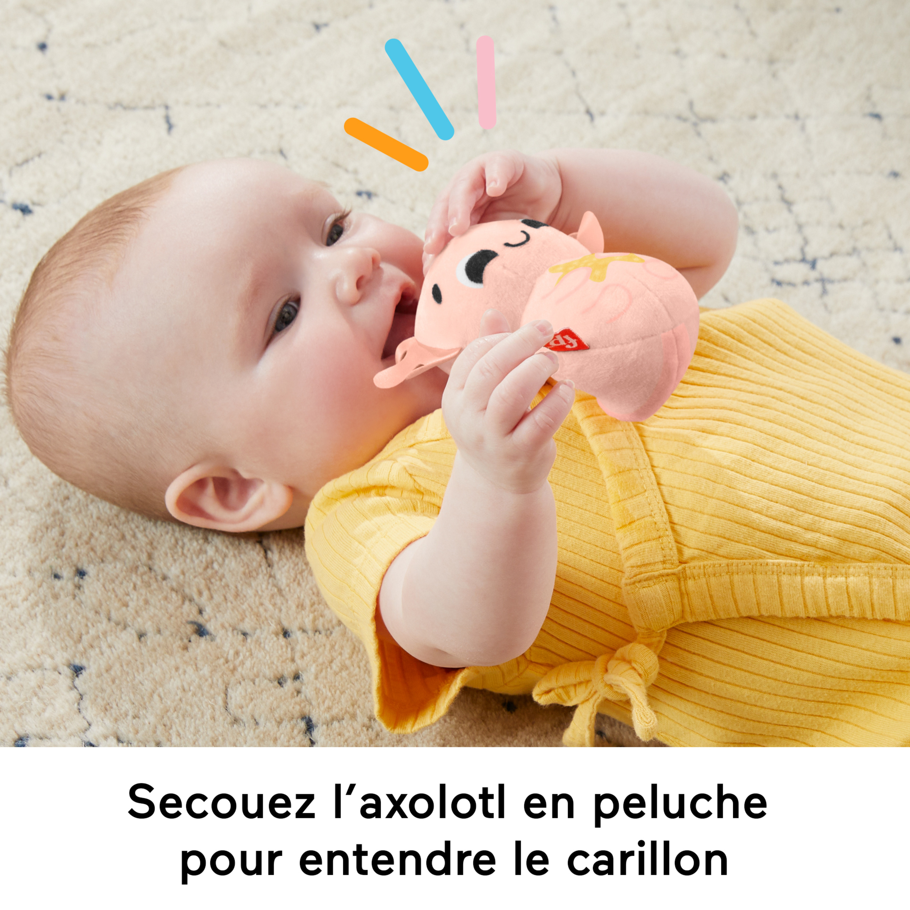 Voir la diapositive 16 : MATTEL Mon coffret d'éveil animal - Le Monde Des Sens Fisher Price