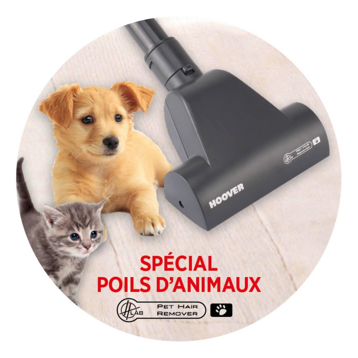 HOOVER Aspirateur traîneau sans sac BR31PET - Noir et bleu