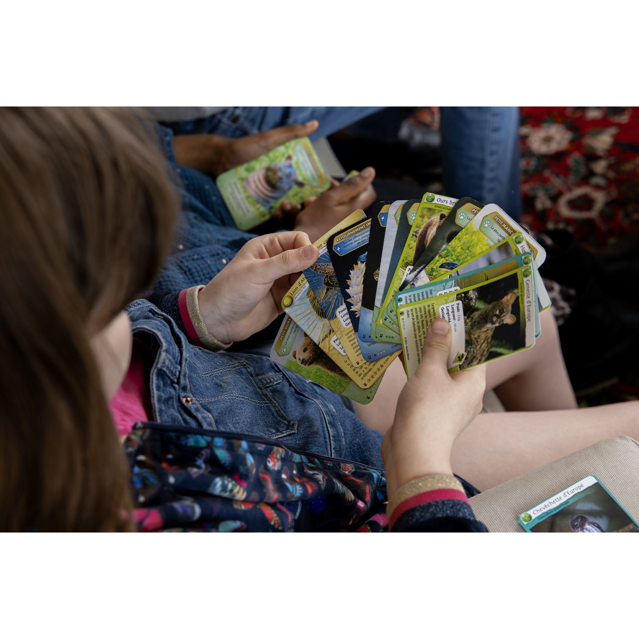 Voir la diapositive 6 : BIOVIVA Coffret Orque et Requins