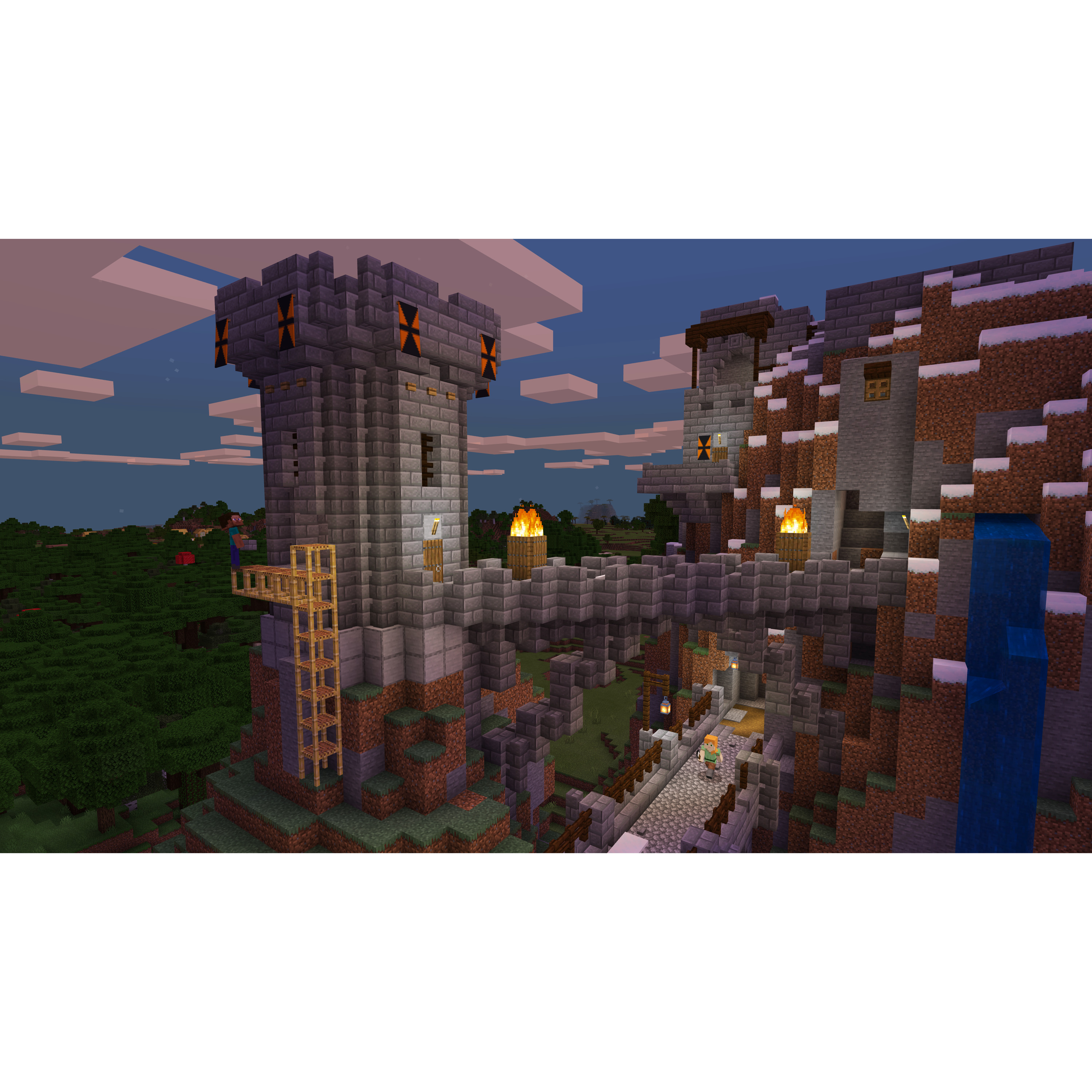 Voir la diapositive 2 : Minecraft PS5